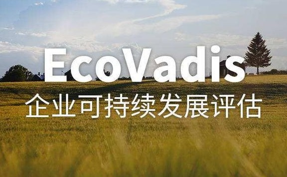 EcoVadis：全球供应链的“绿色通行证”与企业可持续发展新标尺